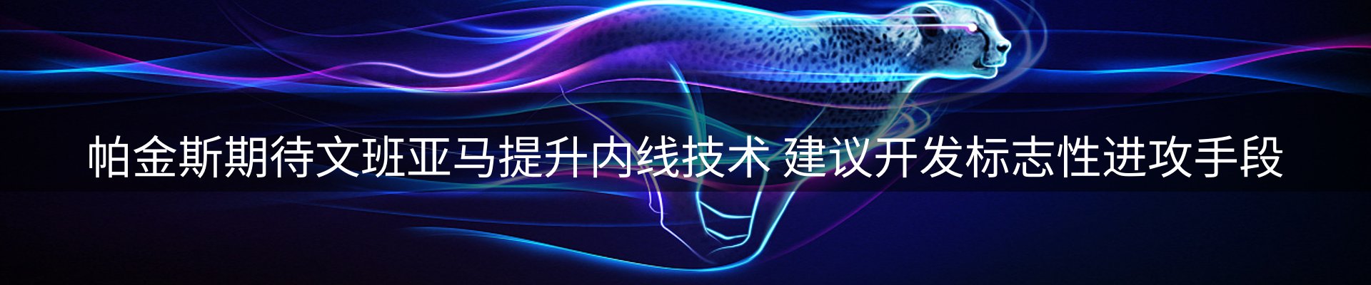 新闻动态