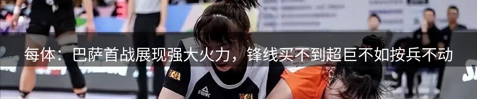 新闻动态