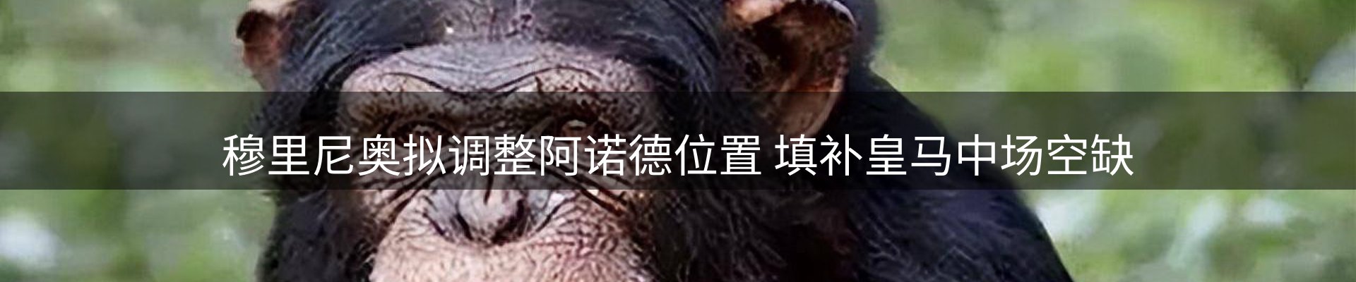 新闻动态